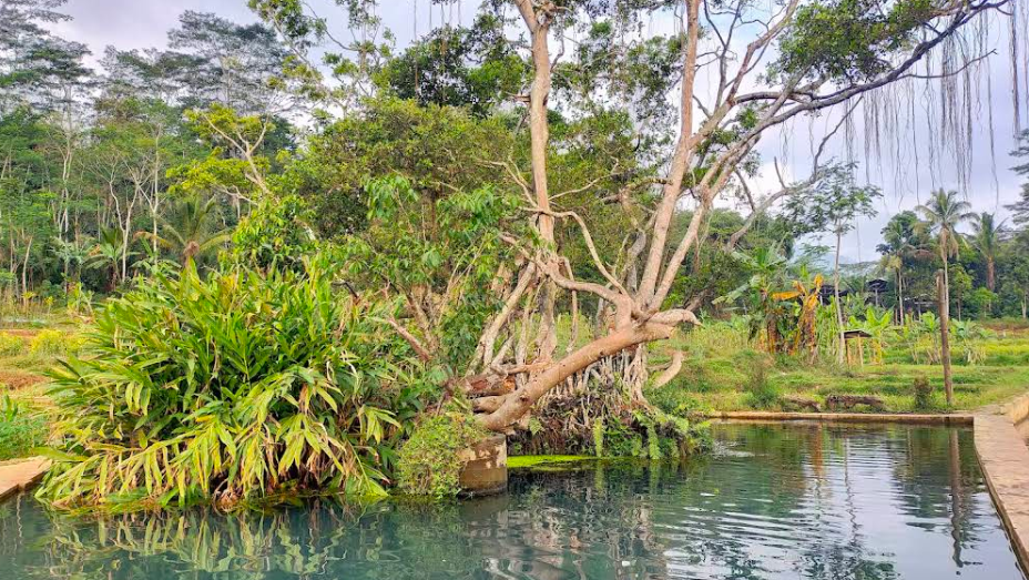 Wisata dan Sumber Mata Air “Telaga Sari”